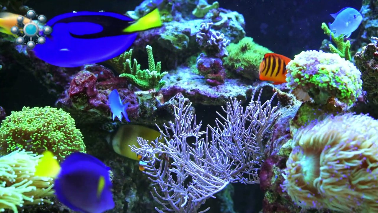 TOP 10 of the most beautiful places on Earth.