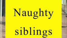 Saleemoffical presentation- naughty siblings #funny