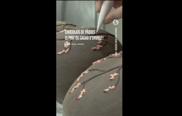 Chocolats de Pâques : le prix du cacao s’envole !