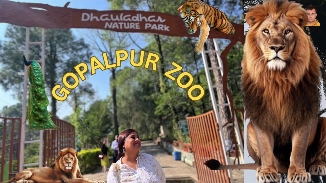 Dhauladhar Nature Park (Zoo) Gopalpur DailyMotion