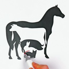 How many animals can you find here🐎 - video Dailymotion