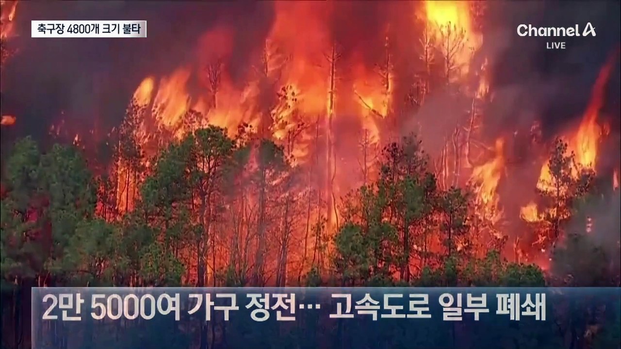 美 뉴저지 최악 산불…주민 수천 명 긴급대피