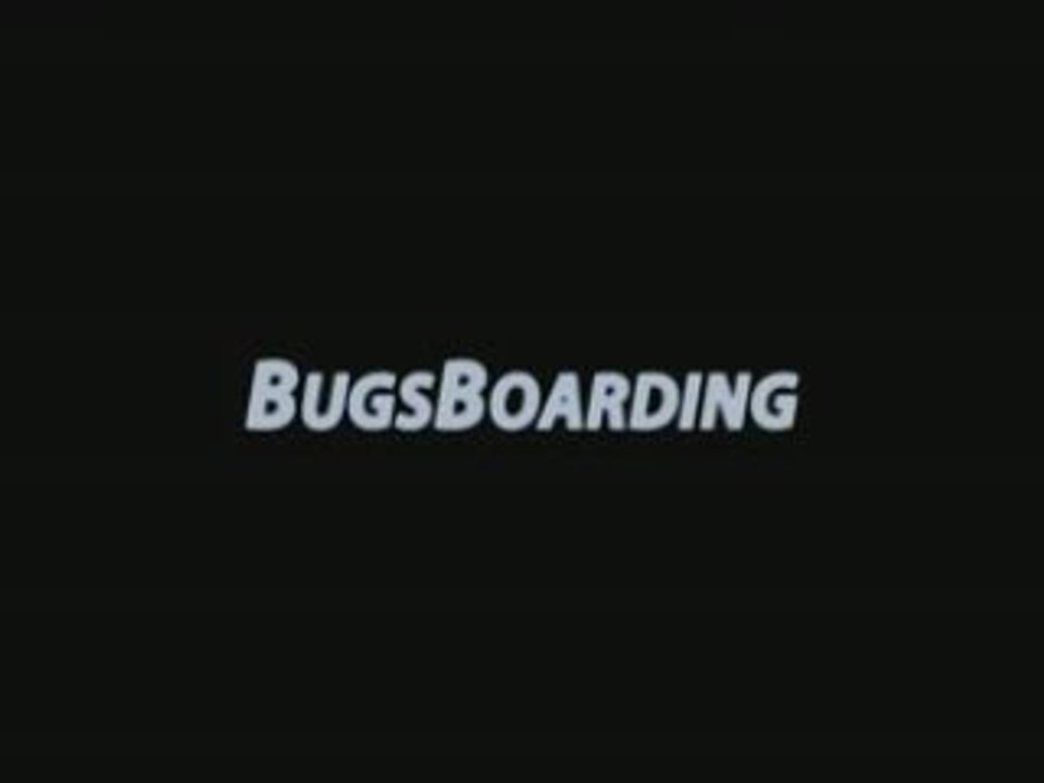 Bugsboarding
