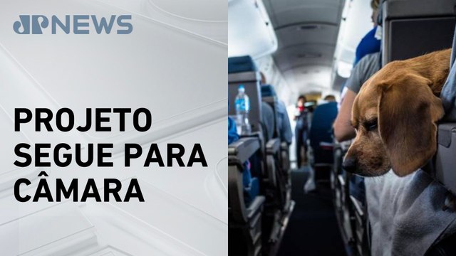 Senado aprova novas regras para transporte aéreo de pets