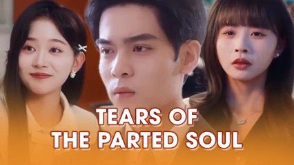 Tears Of The Parted Soul