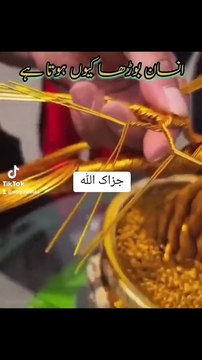 انسان بوڑھا کیوں ہوتا ہے