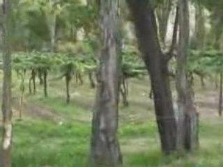 molinos - Argentine 12