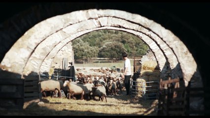 Fino alle montagne (Trailer Ufficiale HD) ⭐️⭐️⭐️