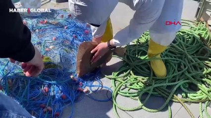 Yasağa rağmen kalkan avladılar, ağlarına el konuldu