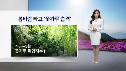 [이슈날씨] 봄바루 타고 '꽃가루 습격' / YTN