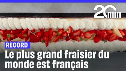 La France bat un nouveau record avec le plus grand fraisier du monde