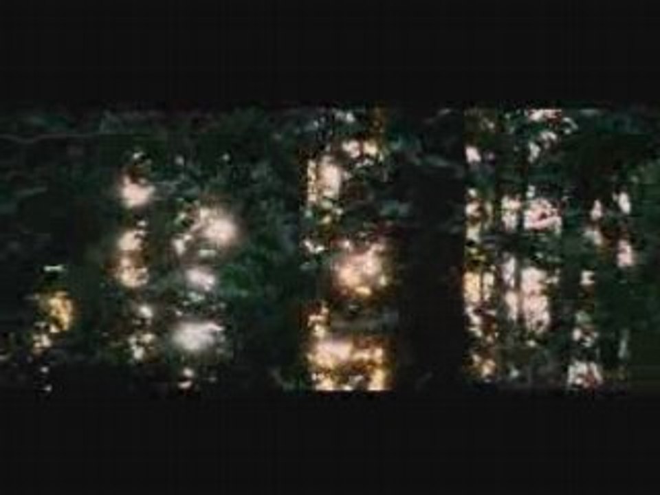Пародия На The Woods