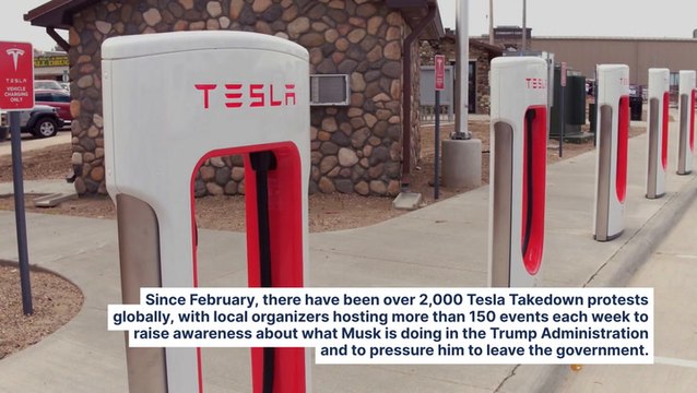 Tesla Takedown Says Protests Are Working: Hitting Where It Hurts, 'The Company's Bottom Line'