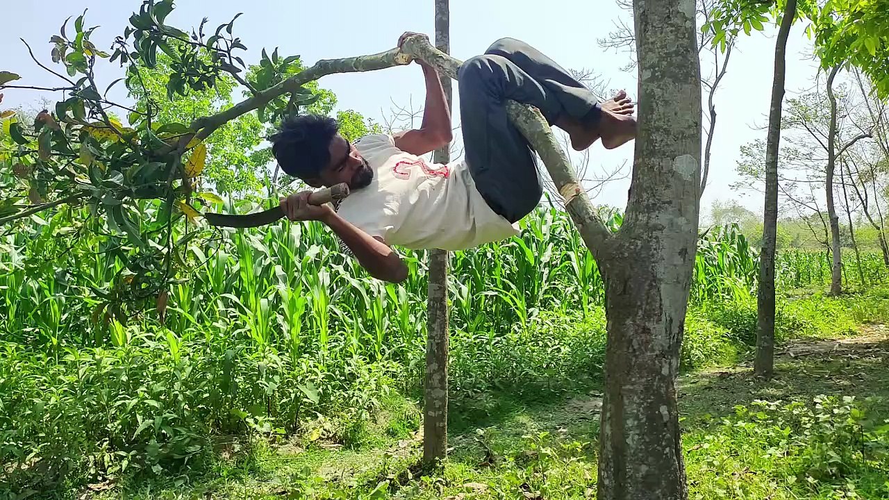 Funny video