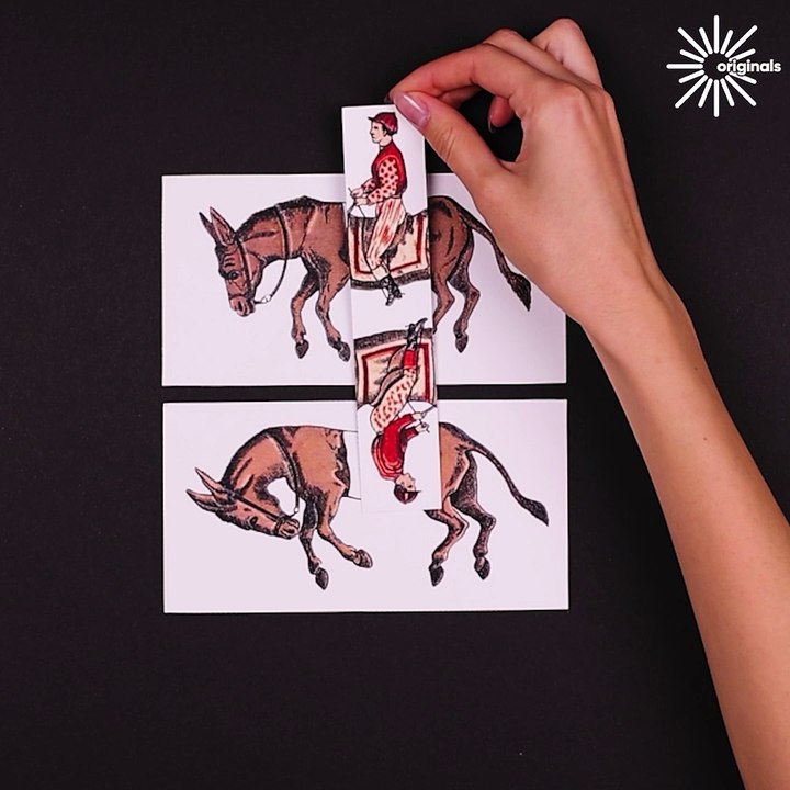 Not everything is as it seems... 🐎