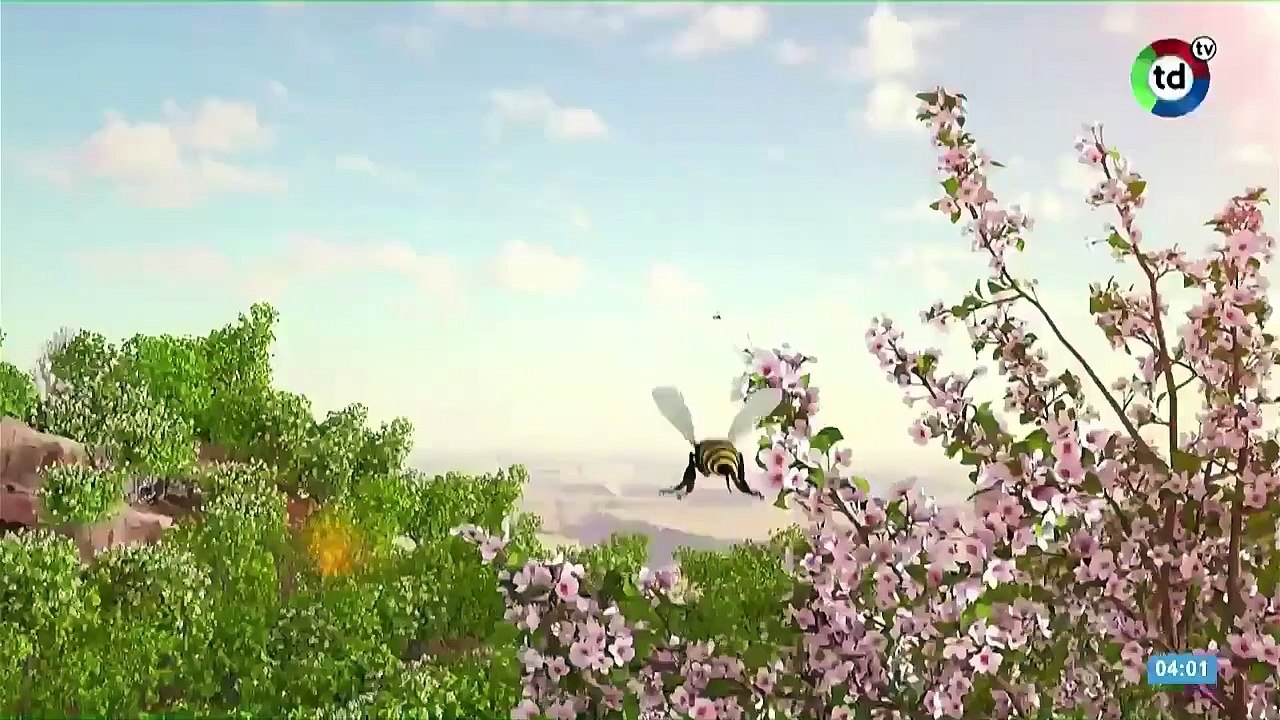 ID Telediario Televisión Río Cuarto (Primavera 2024)