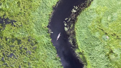 Mission to Marsh Trailer - Exciting New Adventure! 🌿