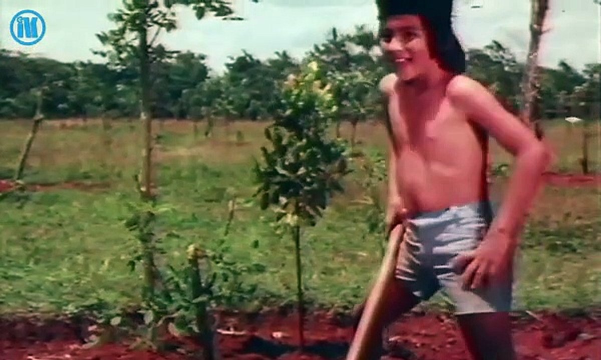Anak Emas (1976)