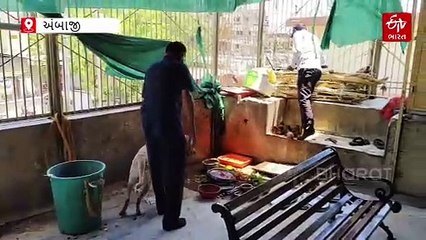 જમ્મુ-કાશ્મીરમાં આતંકી હુમલા બાદ અંબાજી મંદિરમાં બોમ્બ સ્ક્વૉડ-ડૉગ સ્ક્વૉડ દ્વારા સઘન ચેકીંગ