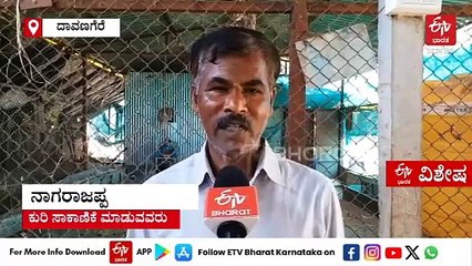 ಕುರಿ ಸಾಕಿ ಯಶ ಕಂಡ ಬಿಇ ಪದವೀಧರ: ಸರ್ಕಾರಿ ಕೆಲಸ ಸಿಗದೇ ಈ ದಾರಿ ಹಿಡಿದು ಲಕ್ಷ ಲಕ್ಷ ಲಾಭ ಗಳಿಸುತ್ತಿರುವ ಇಂಜಿನಿಯರ್