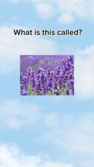 Boost your vocabulary 🚀