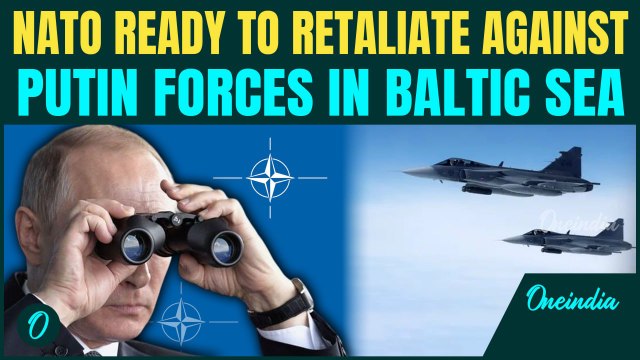 Putin's Spy Plane Chased Out of Skies by Swedish Jets Near Poland: NATO Ready to Retaliate