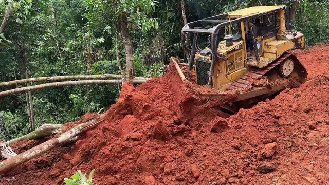 Amazing Project D6R XL Bulldozer Old Lost Road in the Forest