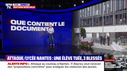 "La mondialisation a transformé notre système": que contient le document envoyé par Justin P, l'assaillant présumé de l'attaque au couteau dans un lycée à Nantes ?
