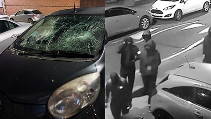 Terrifying moment gang of masked thugs arrive to smash up mum's home