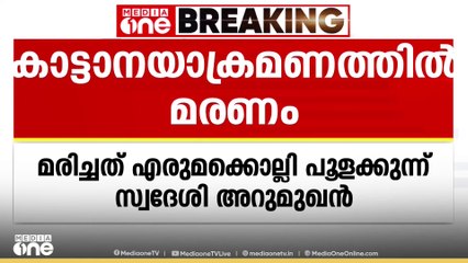വയനാട്ടിൽ ജീവനെടുത്ത് കാട്ടാന; മരിച്ചത് എരുമക്കൊല്ലി പൂളക്കുന്ന് കോളനിയിൽ അറുമുഖൻ