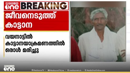 കാട്ടാന ആക്രമണമുണ്ടായത് അറുമുഖന്‍ ജോലി കഴിഞ്ഞ് വീട്ടിലേക്ക് പോകുംവഴി