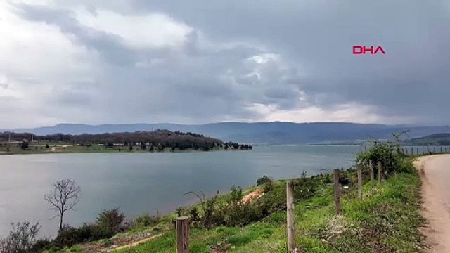 Gölköy Barajı doldu taştı!