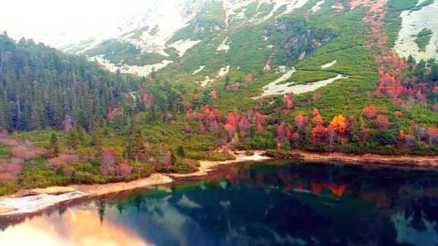 Sembrando Esperanza - Huerto de los Olivos - 19.04.2025