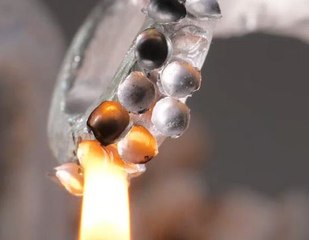 Tentacle Couture! Crafting an Octopus Leg Accessory for Bold Fashion!