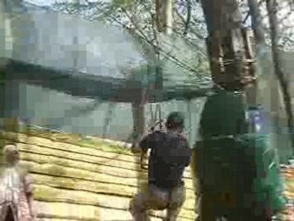 Saut de l'ange de Bilal