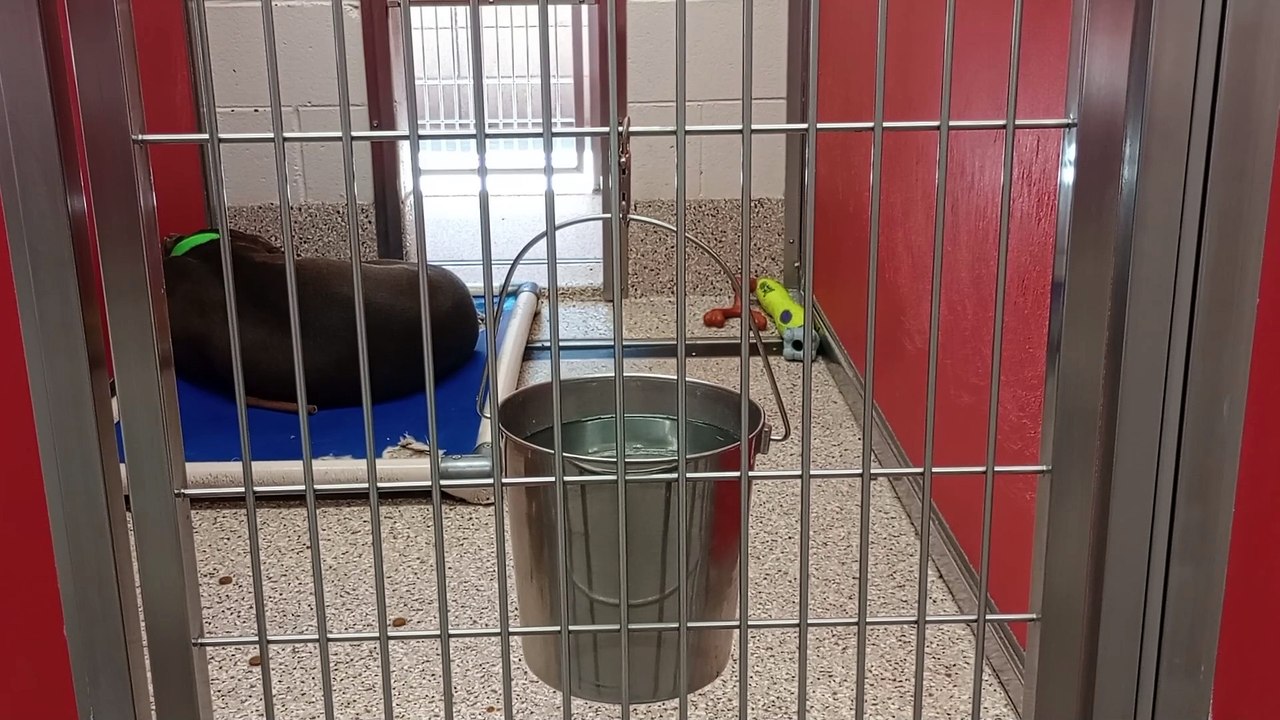 VID_20250423_124359552