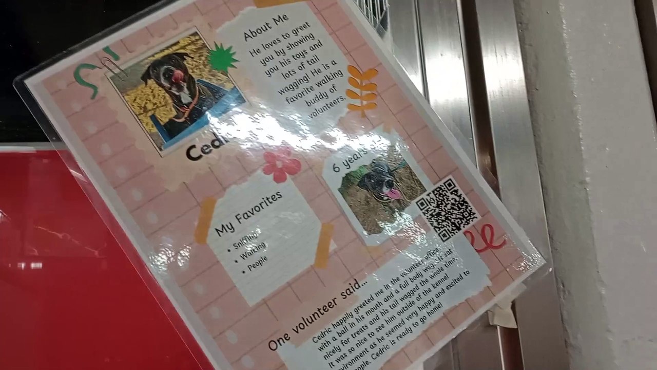 VID_20250423_165853887