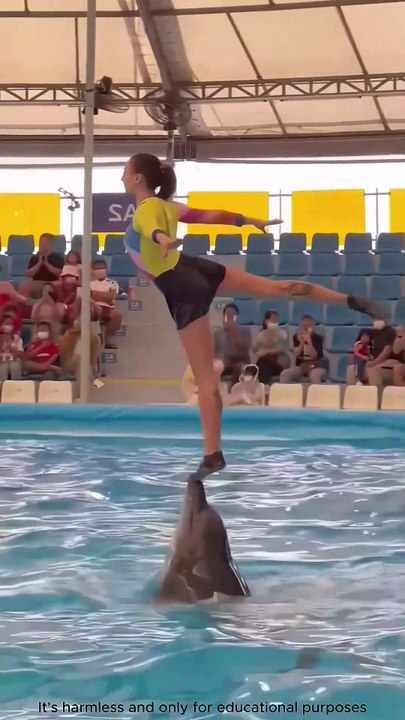 ⚠️ Don't Ever Step on an Orca’s Face 🐋