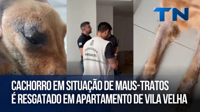 Cachorro em situação de maus-tratos é resgatado em apartamento de Vila Velha