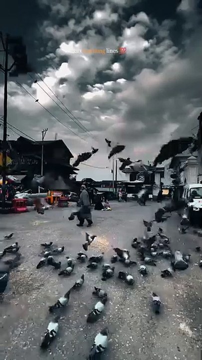 Facebook_1743806292593(360p)