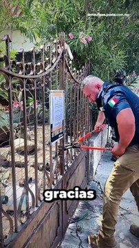 La fiscalía recibió múltiples denuncias de maltrato por abandono