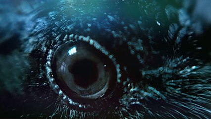 They Say I'm Different | Trailer