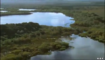 Rosamunde Pilcher -045- Mit dem Augen der Liebe