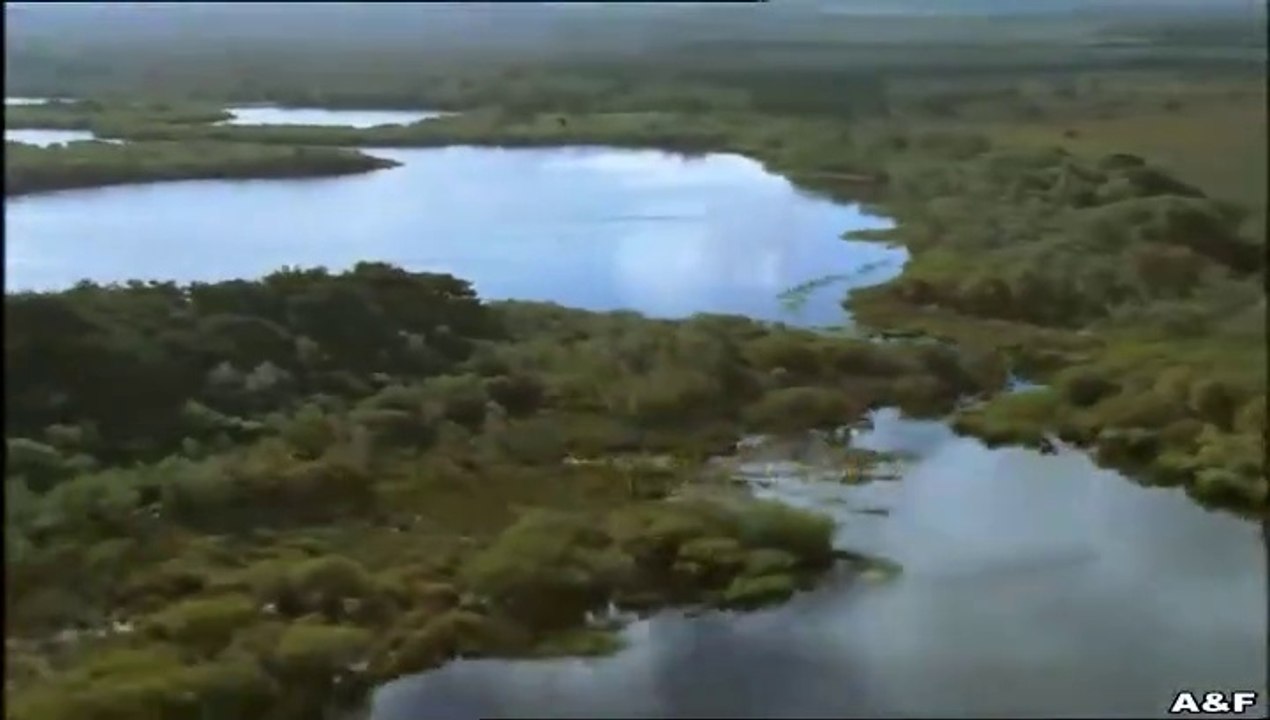 Rosamunde Pilcher -045- Mit dem Augen der Liebe