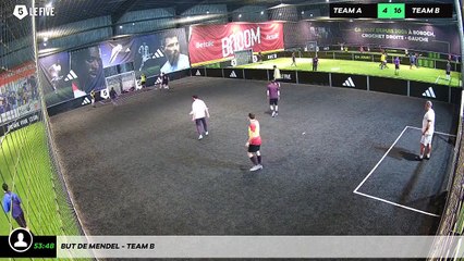 But de Mendel - Team B