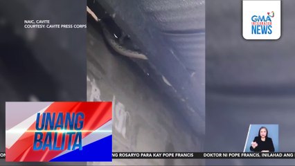 9-feet na sawa, natagpuang gumagapang sa kisame ng isang patahian | Unang Balita