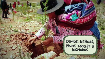 TERRITORIO GEEK   - Actores y personajes de Avengers Doomsday