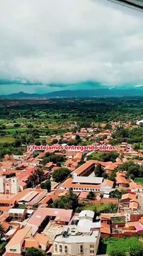 ATB CIENCIA - Un estudio revela que los chimpancés consumen frutas que contienen alcohol