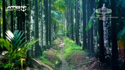 BICENTENARIO - La guerra del Acre