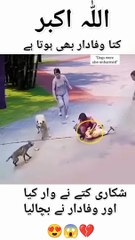 Just For Laughs Gags – Features prank videos and f